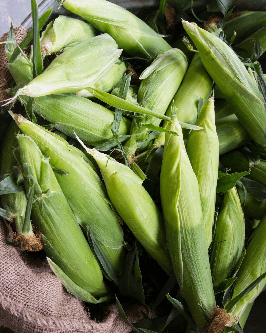 End of Summer Sweetcorn
