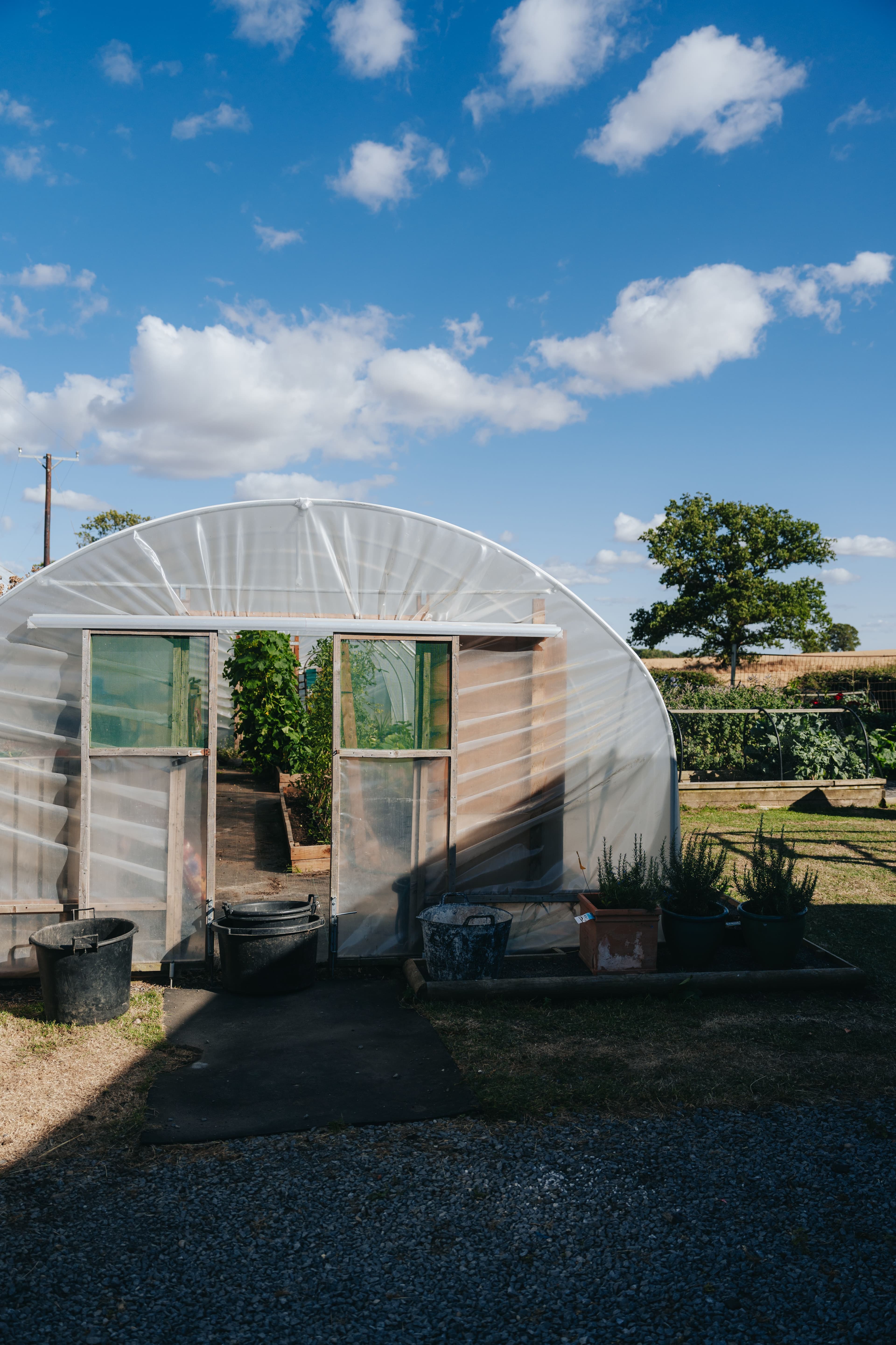 Peckish Kitchen Garden, Newsham, Thirsk