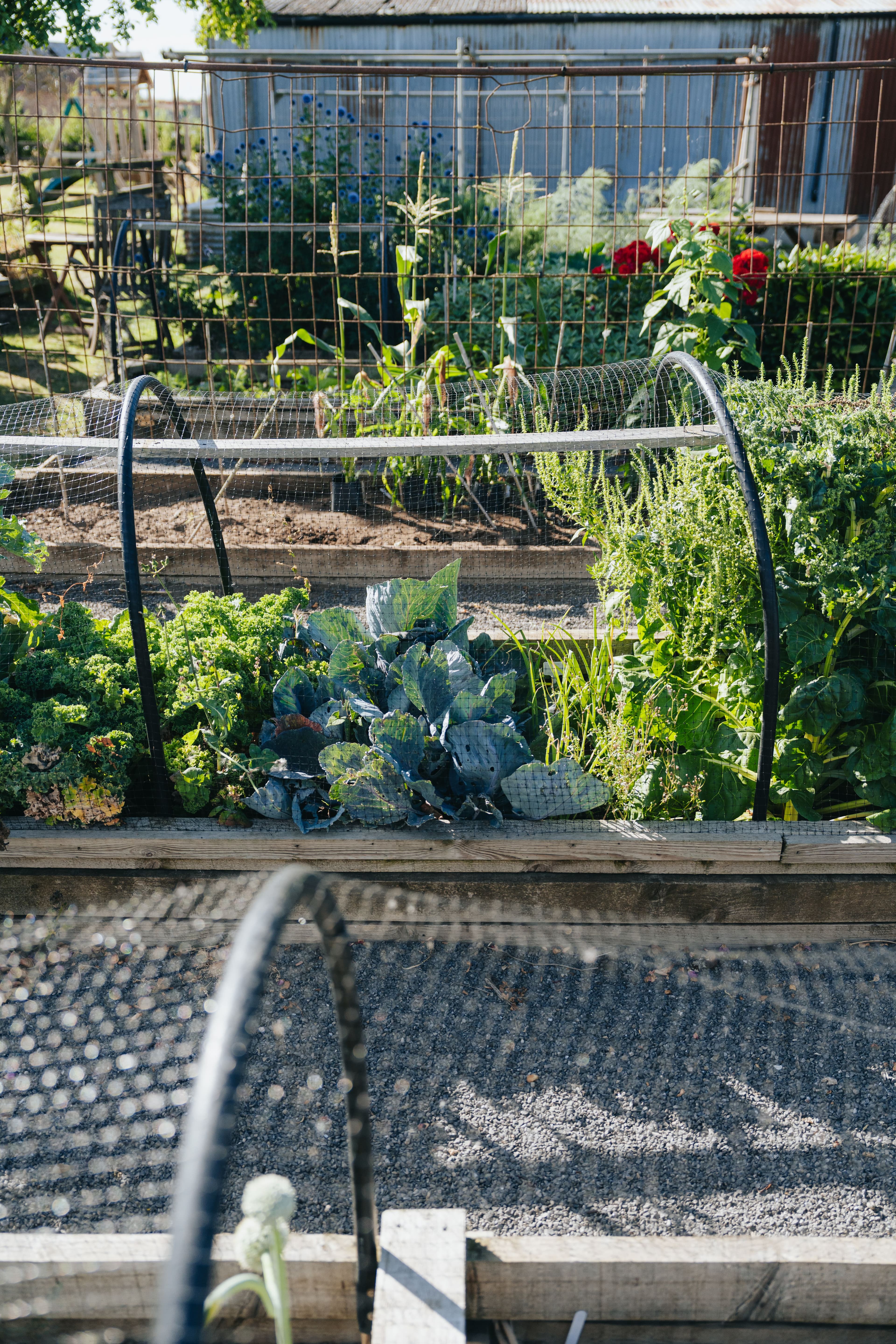 the Kitchen Garden at Newsham