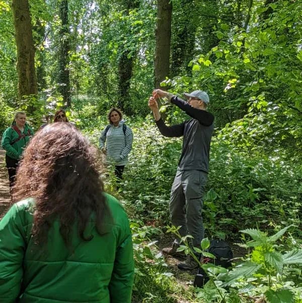Foraging Experience in North Yorkshire