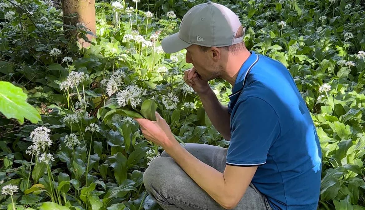 James Hill Forager