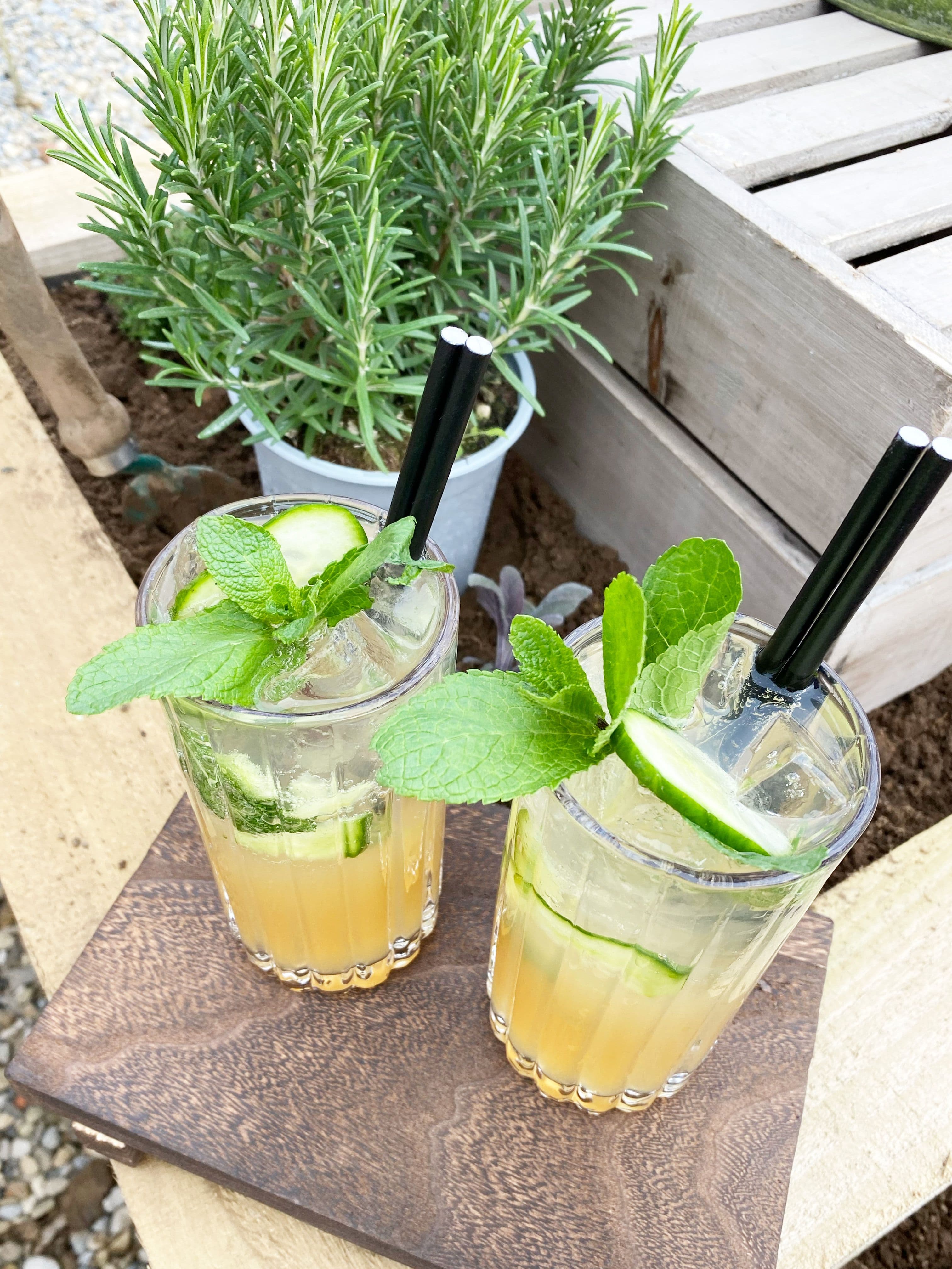 A cocktail rooted in place - The English Garden from Newsham Thirsk