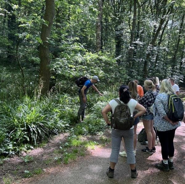 Group activity foraging experience in Thirsk North Yorkshire